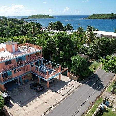 Esperanza Inn Guesthouse (Adults Only) Vieques Ngoại thất bức ảnh