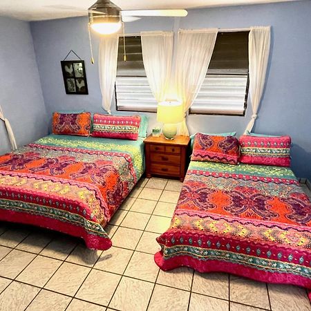 Esperanza Inn Guesthouse (Adults Only) Vieques Phòng bức ảnh