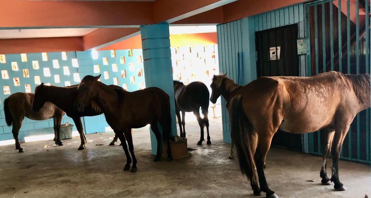 Esperanza Inn Guesthouse (Adults Only) Vieques Ngoại thất bức ảnh
