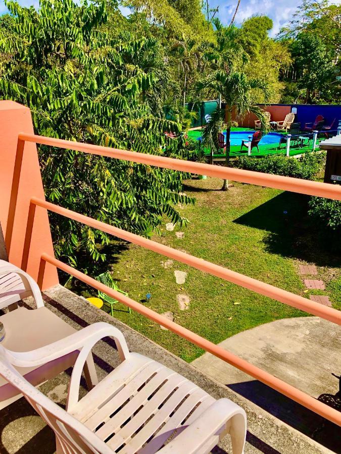 Esperanza Inn Guesthouse (Adults Only) Vieques Ngoại thất bức ảnh