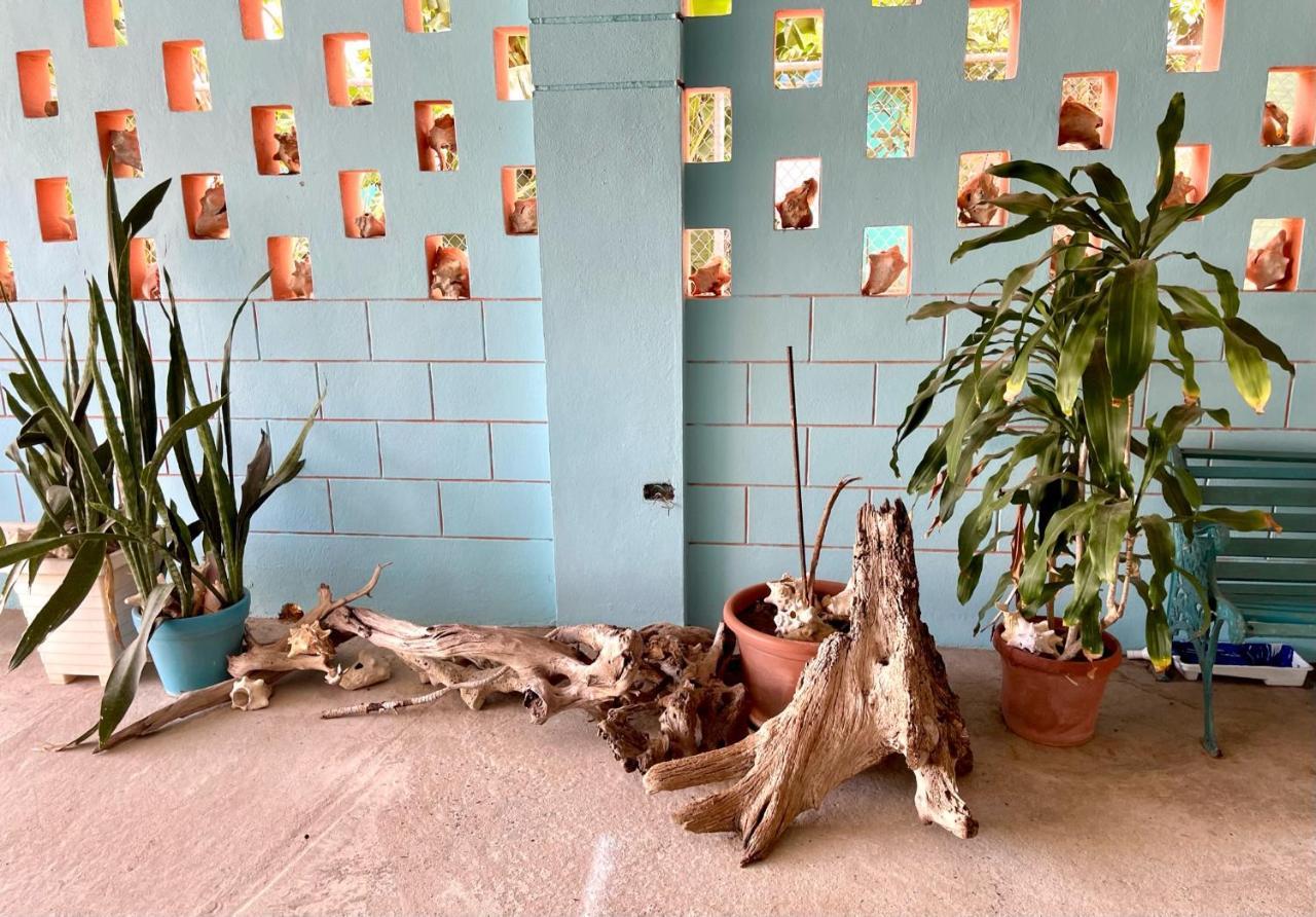 Esperanza Inn Guesthouse (Adults Only) Vieques Ngoại thất bức ảnh