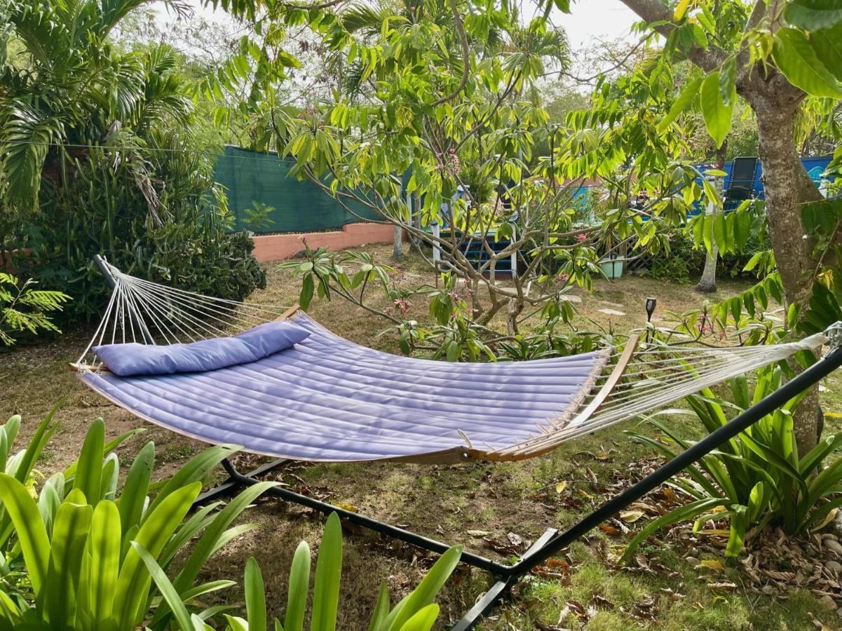 Esperanza Inn Guesthouse (Adults Only) Vieques Ngoại thất bức ảnh