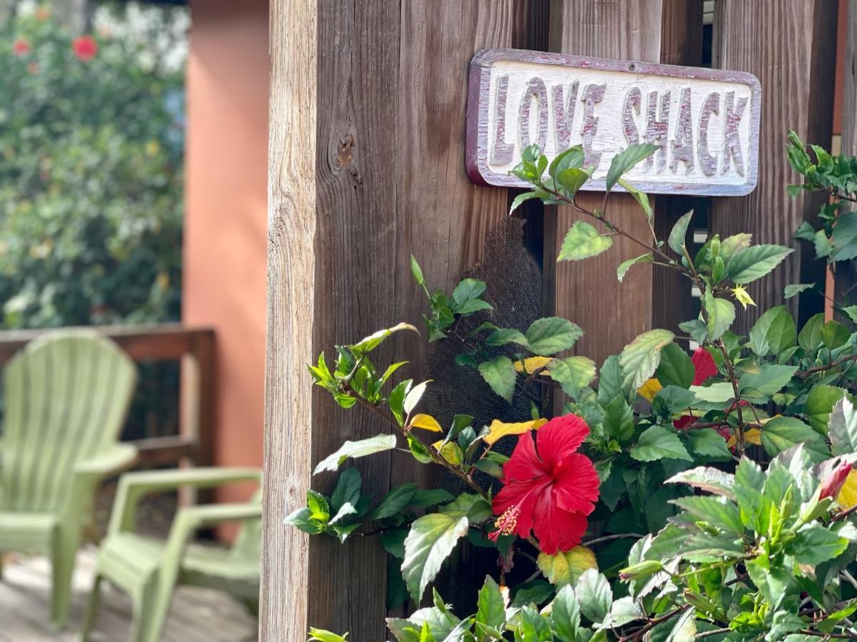 Esperanza Inn Guesthouse (Adults Only) Vieques Ngoại thất bức ảnh