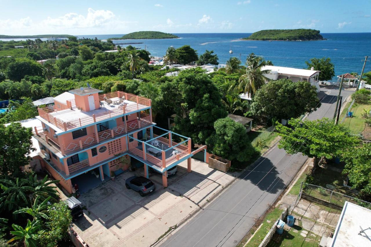 Esperanza Inn Guesthouse (Adults Only) Vieques Ngoại thất bức ảnh