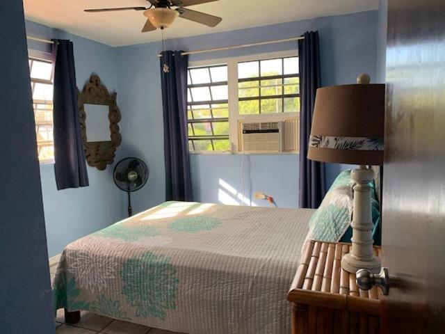 Esperanza Inn Guesthouse (Adults Only) Vieques Ngoại thất bức ảnh