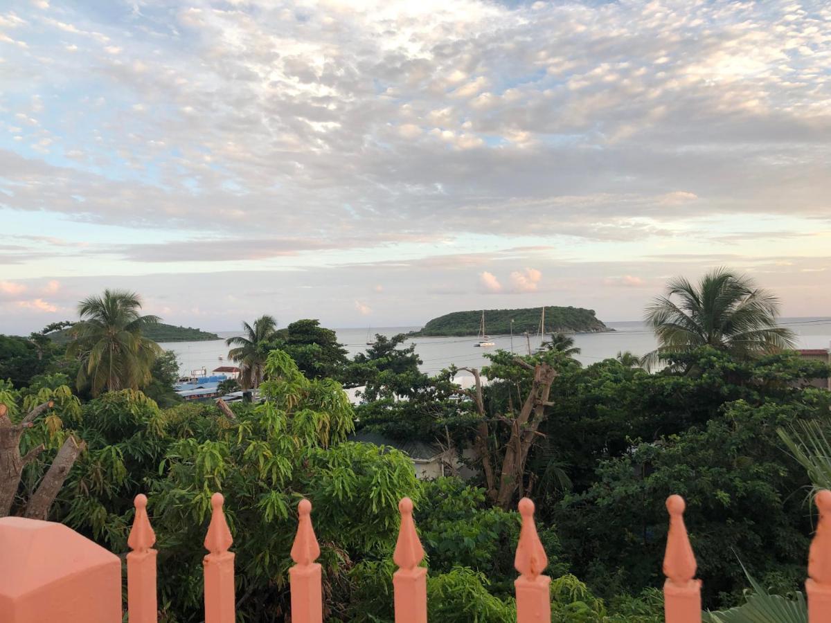 Esperanza Inn Guesthouse (Adults Only) Vieques Ngoại thất bức ảnh