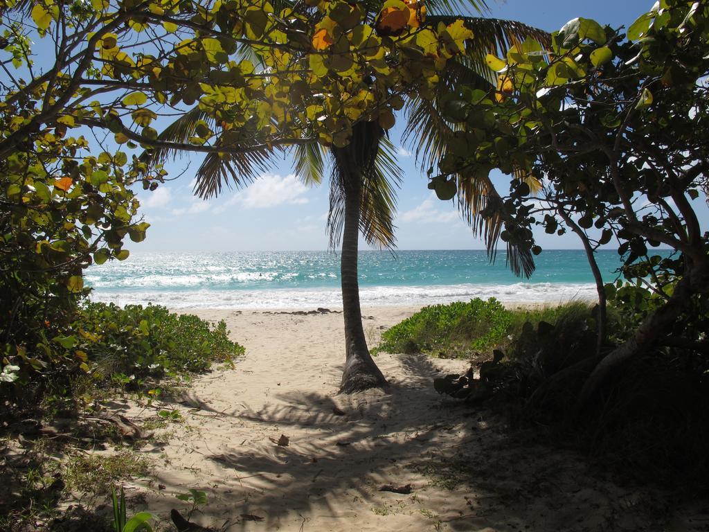 Esperanza Inn Guesthouse (Adults Only) Vieques Ngoại thất bức ảnh