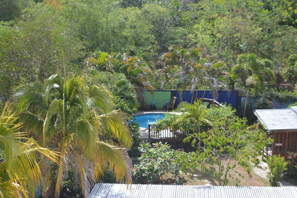 Esperanza Inn Guesthouse (Adults Only) Vieques Ngoại thất bức ảnh