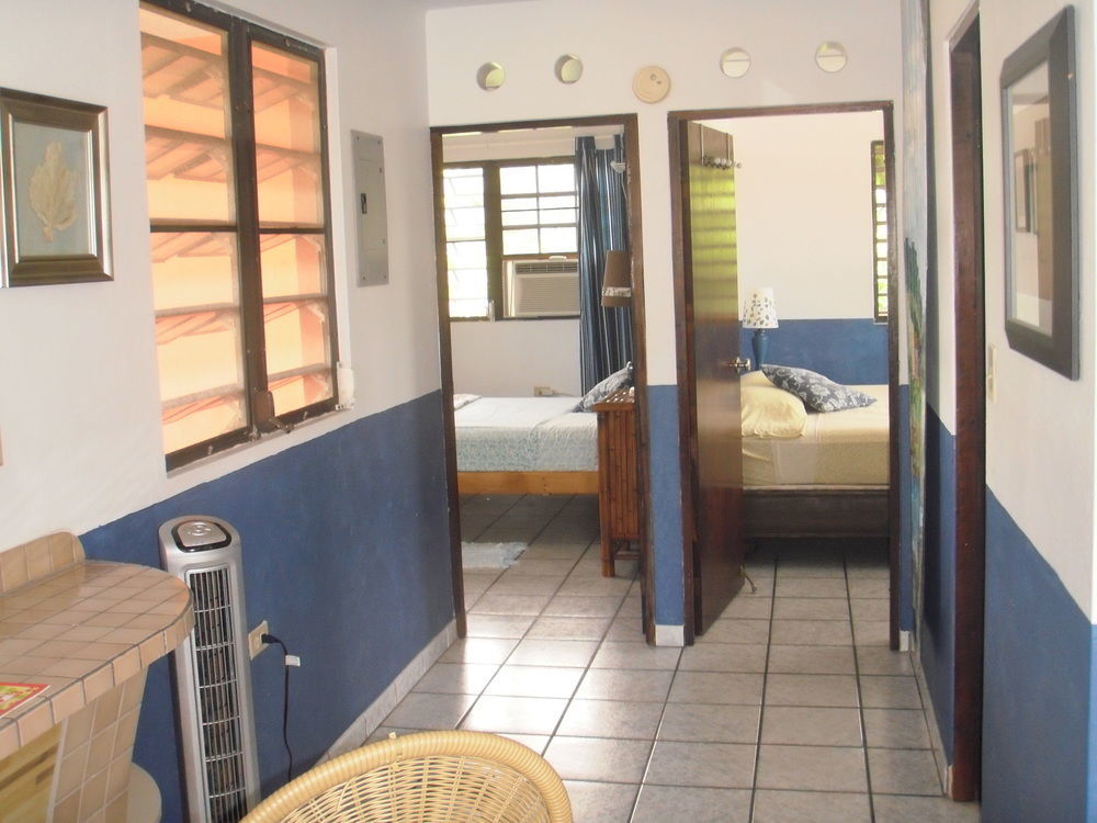 Esperanza Inn Guesthouse (Adults Only) Vieques Ngoại thất bức ảnh